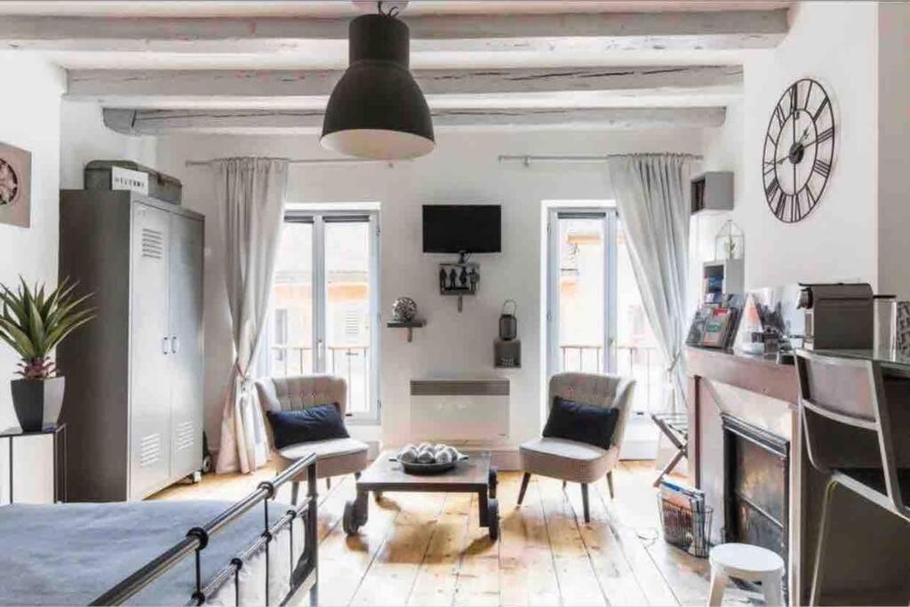 Au Grey D'Annecy, Studio Cosy Au Coeur De La Ville Zewnętrze zdjęcie