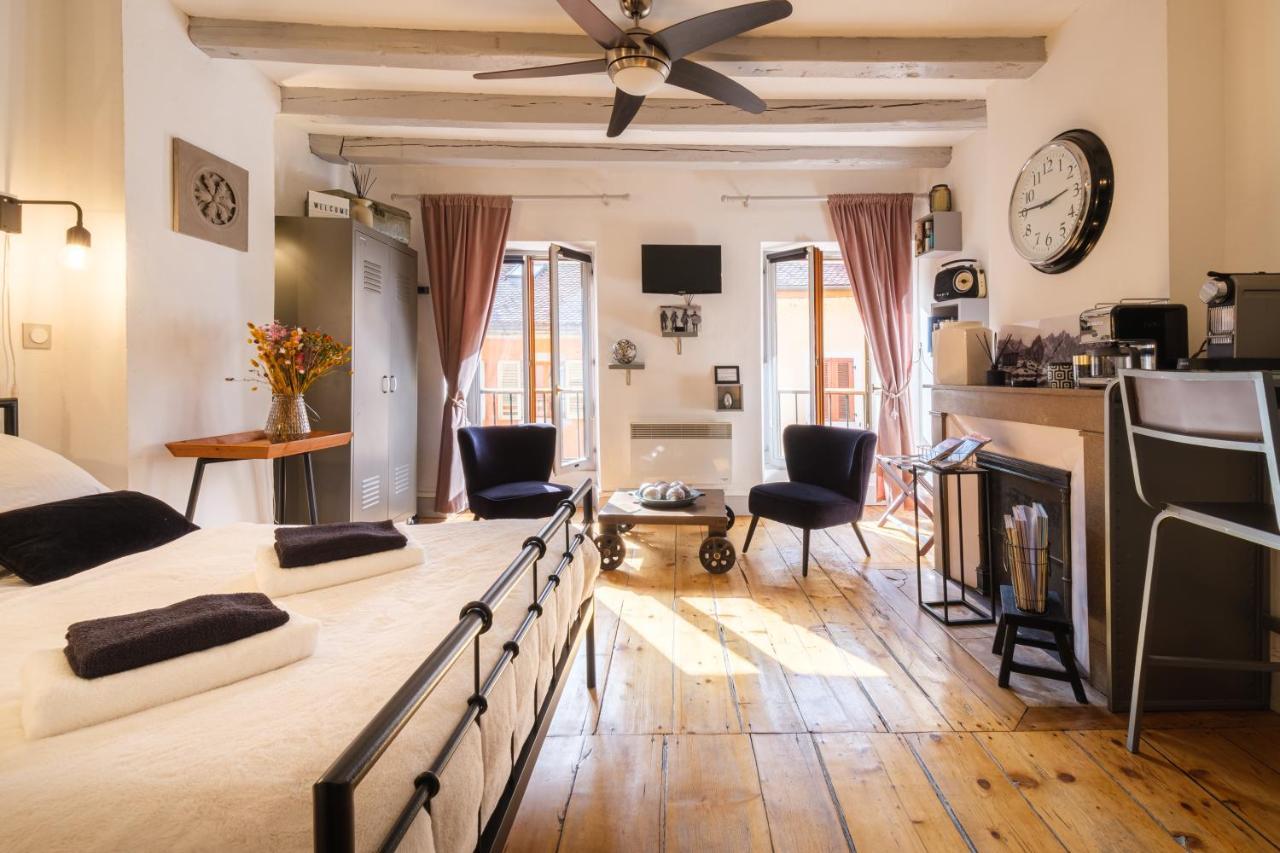 Au Grey D'Annecy, Studio Cosy Au Coeur De La Ville Zewnętrze zdjęcie