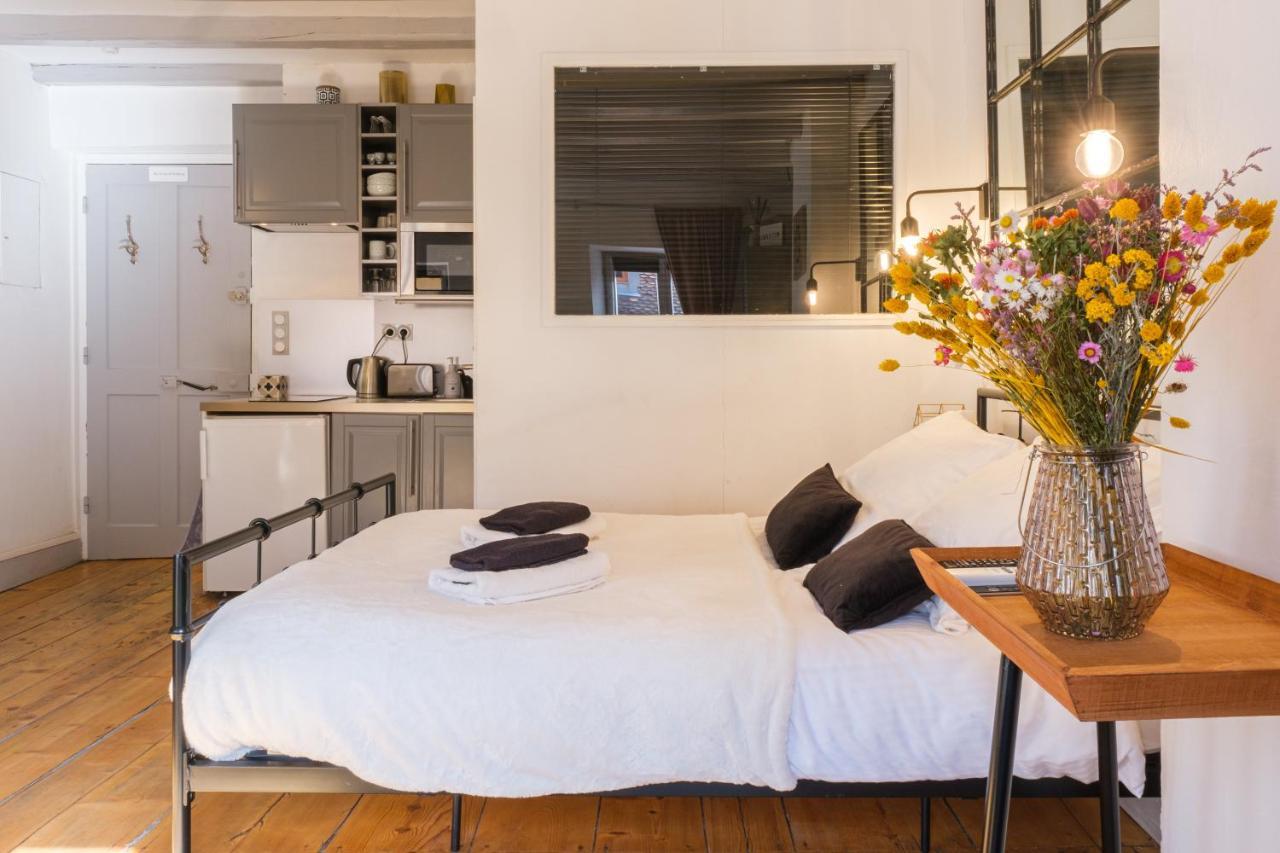 Au Grey D'Annecy, Studio Cosy Au Coeur De La Ville Zewnętrze zdjęcie