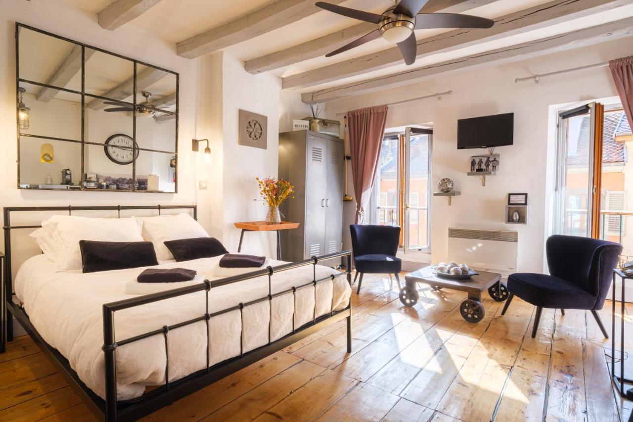 Au Grey D'Annecy, Studio Cosy Au Coeur De La Ville Zewnętrze zdjęcie